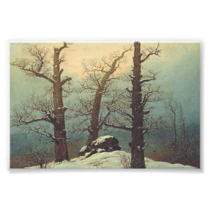 Stenröse i snö av Caspar David Friedrich Fototryck