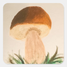 Stensopp