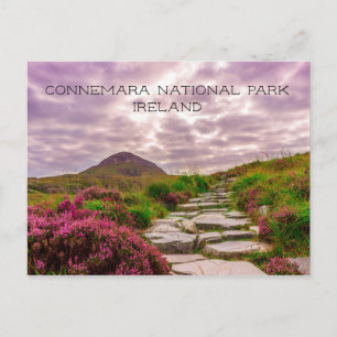 Stenstig, Vilda Blommor, Connemara Nationalpark, Vykort