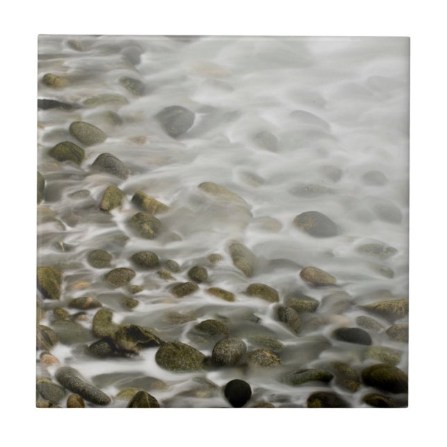 Stenstrand | Point Lobos State Reserve, CA Kakelplatta (Framsidan)