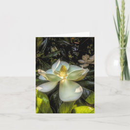 Stenton House Magnolia Tackkort