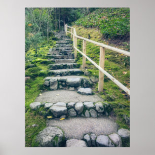 Stenträdgårdsgång in i frodig skog poster