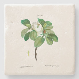 STENUNDERLÄGG: MAGNOLIA : REDOUTÉ STENUNDERLÄGG
