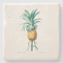 STENUNDERLÄGG: PINEAPPLE: REDOUTÉ