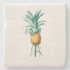 STENUNDERLÄGG: PINEAPPLE: REDOUTÉ STENUNDERLÄGG