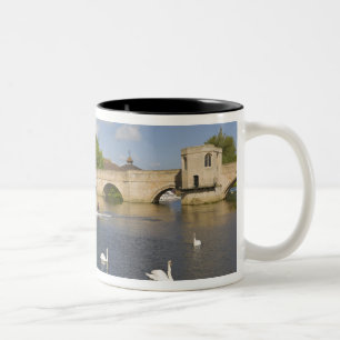 Stenvalvsbro och floden Ouse, St Ives, Två-Tonad Mugg