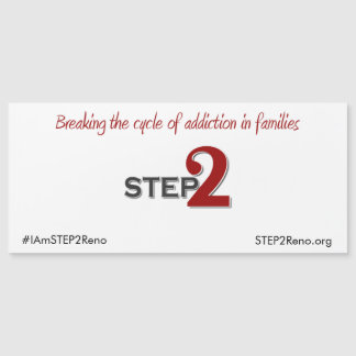 STEP2 Magnetiskt stötfångare