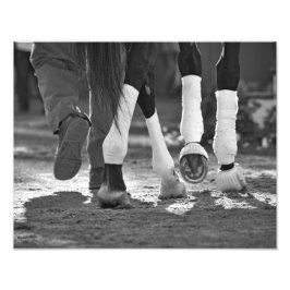 Step Nicely Fototryck