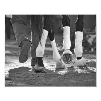 Step Nicely Fototryck