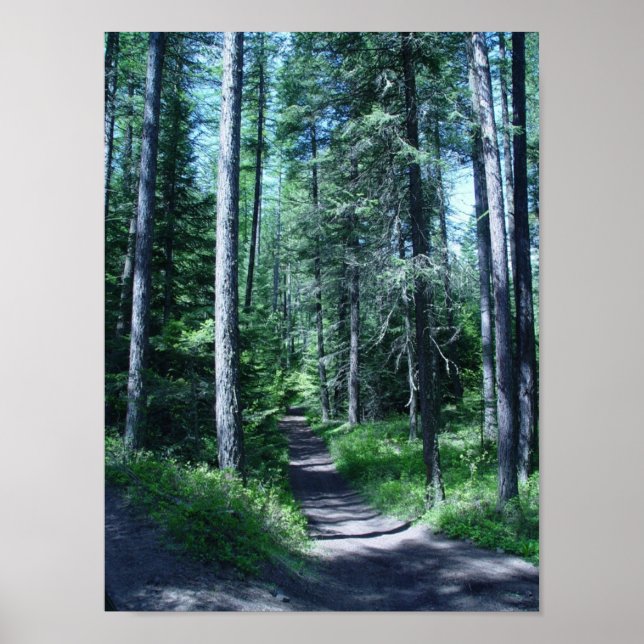 STEPHANEY DAY POSTER (Framsidan)