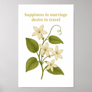 Stephanotis - Lycka i giftermål Poster