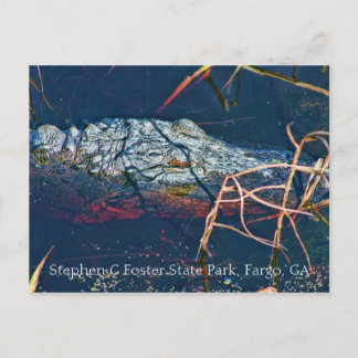 Stephen C Foster State Park, Gator Vykort