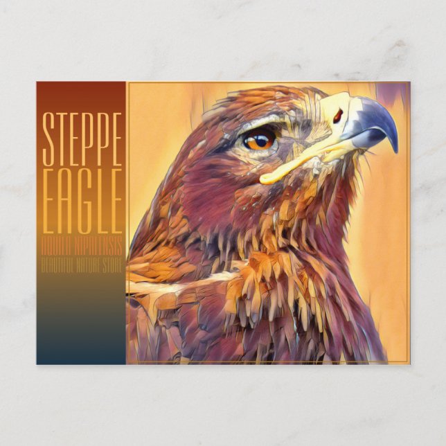 Steppe Eagle [vykort] Vykort (Framsida)