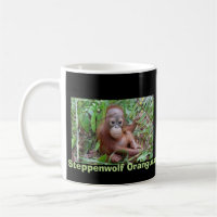 Steppenwolf Orangutanföräldralös