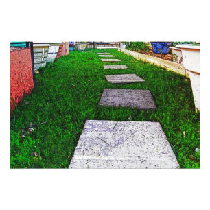 Stepping Stones by Shirley Taylor Fototryck