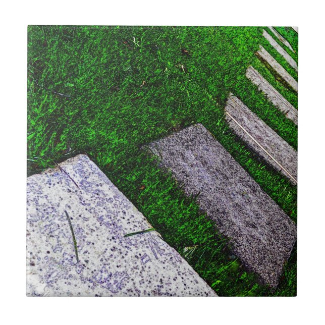 Stepping Stones by Shirley Taylor Kakelplatta (Framsidan)