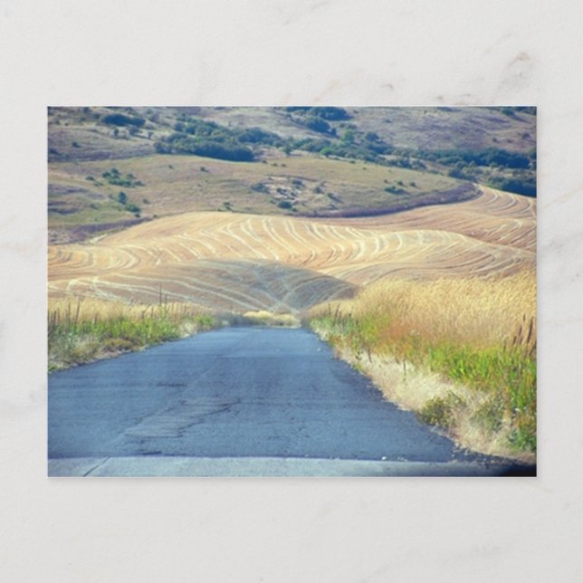 Steptoe Butte Vykort (Framsida)