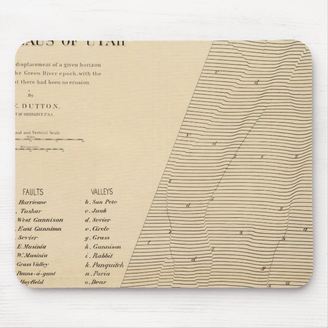 Stereogram för förskjutningar Utah Musmatta (Framsidan)