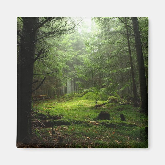 Stereoskog Magnet (Framsidan)