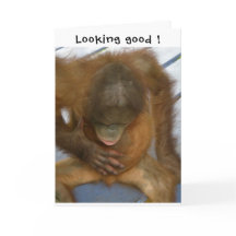 Sterilisation ser bra ut