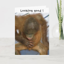 Sterilisation ser bra ut kort