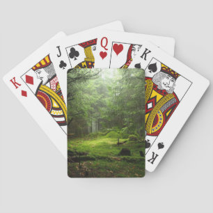 Sterious skog casinokort