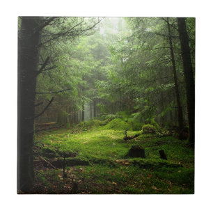 Sterious skog kakelplatta