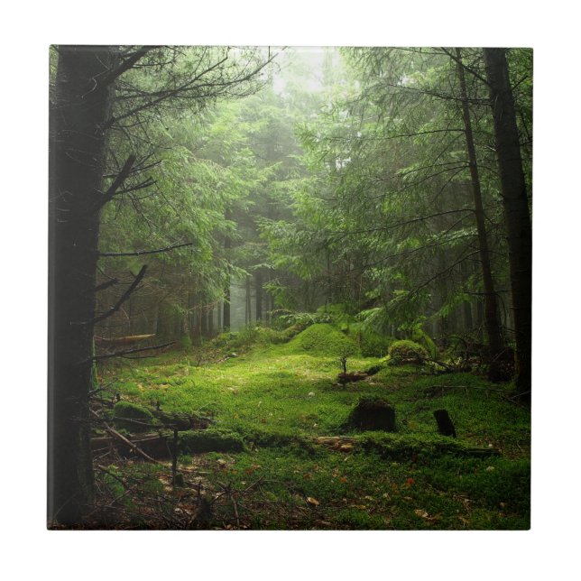 Sterious skog kakelplatta (Framsidan)