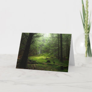 Sterious skog kort