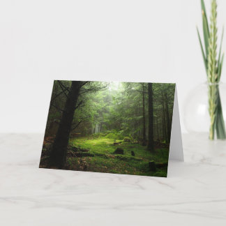 Sterious skog kort