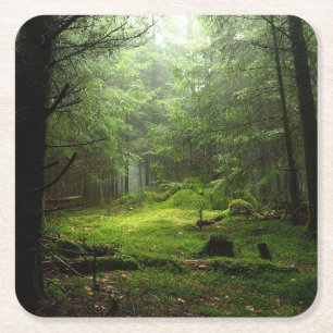 Sterious skog underlägg papper kvadrat