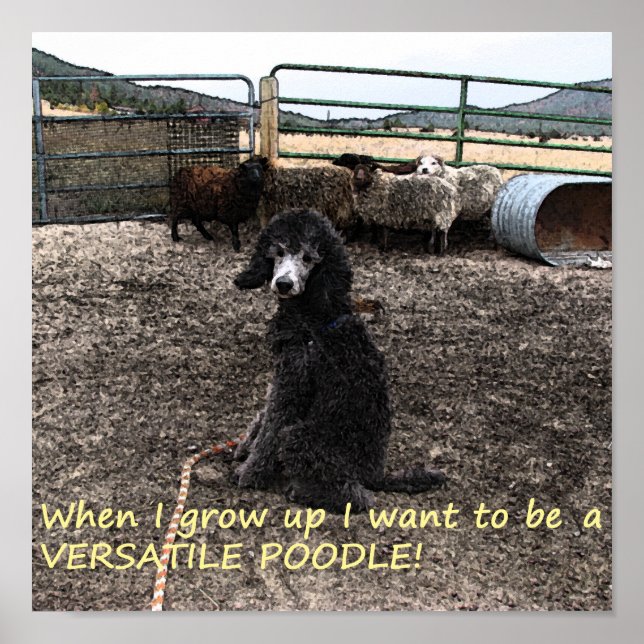 Sterling Poster (Framsidan)