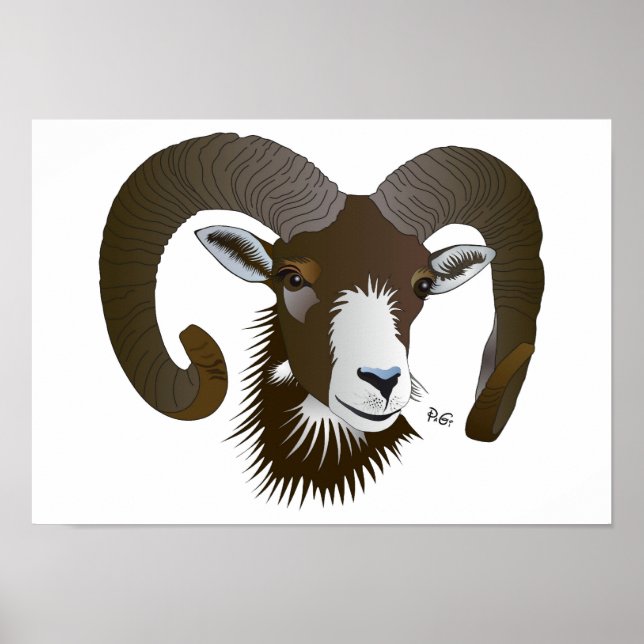 Sternzeichen - Widder Poster (Framsidan)