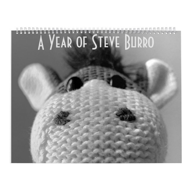 Steve Burro Kalender (Omslag)