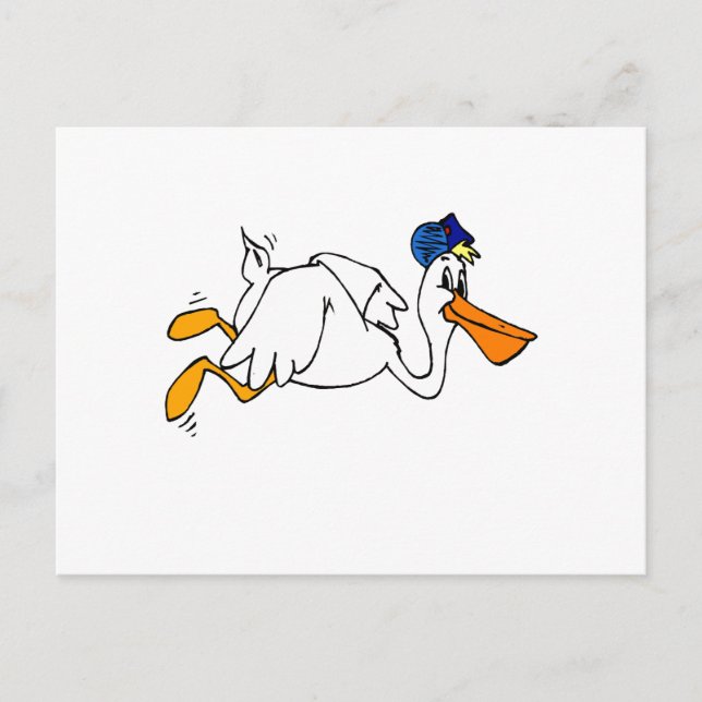 Steve Stork Vykort (Framsida)