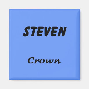 Steven Magnet