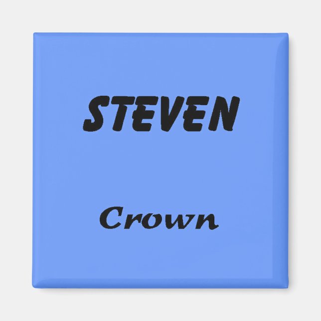 Steven Magnet (Framsidan)