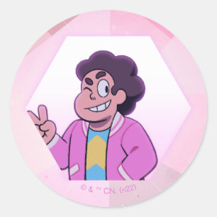 Steven Universe   Rosa Diamond Porträtt Runt Klistermärke