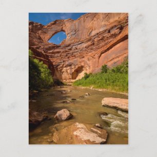 Stevens Arch - Escalante River - Utah Vykort