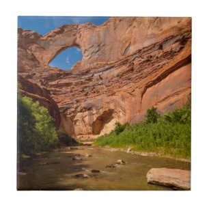 Stevens båge - den Escalante floden - Utah Kakelplatta