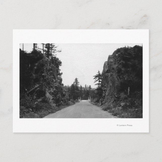 Stevenson Pass, WA View North Bank Highway Vykort (Framsida)