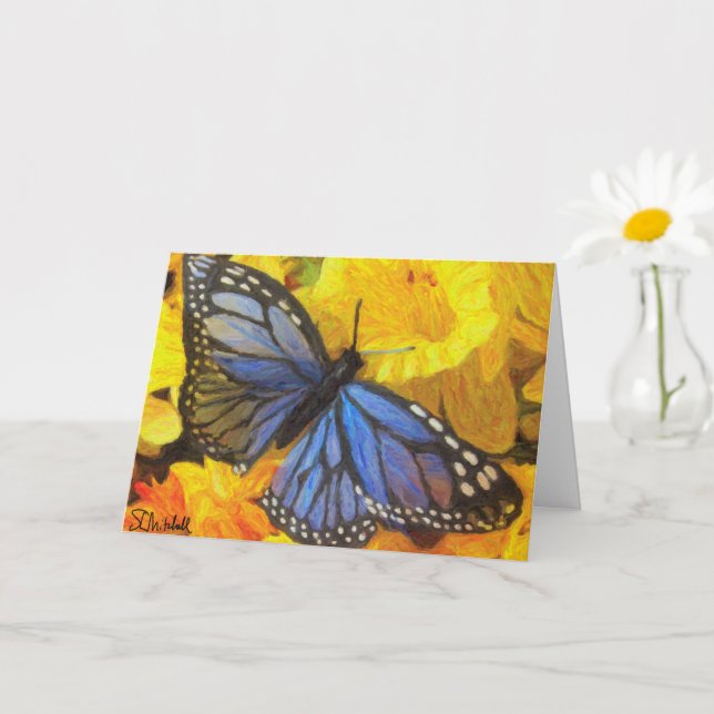 Steve's Blue Butterfly Kort (Liten växt)