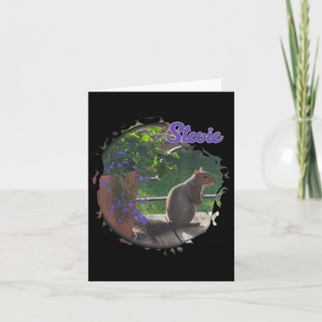 Stevie Squirrel Kort (Framsida)
