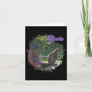Stevie Squirrel Kort