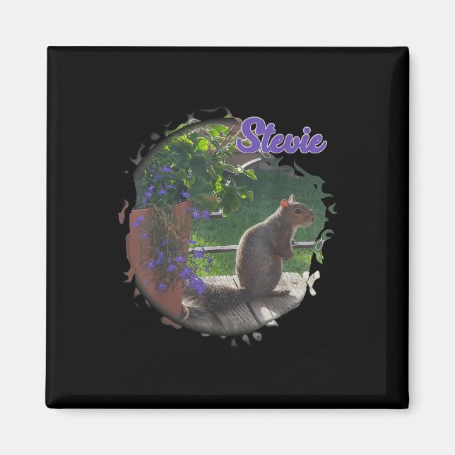 Stevie Squirrel Magnet (Framsidan)