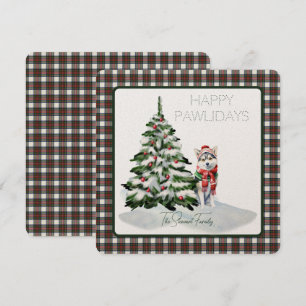 Stewart Dress Modern Tartan Lycklig Pawlidays Hund
