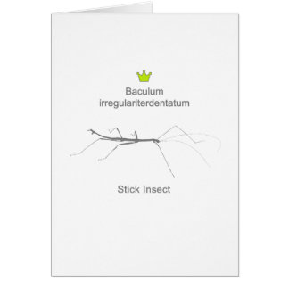 Stick Insect g5 Hälsningskort