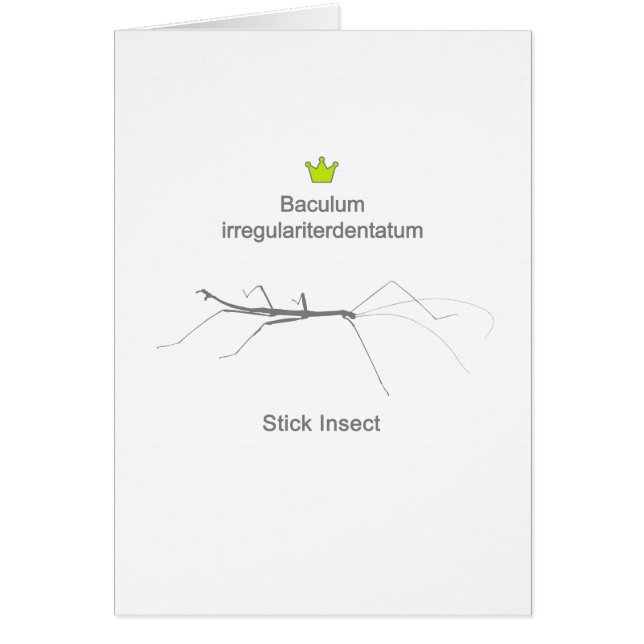 Stick Insect g5 Hälsningskort (Framsidan)