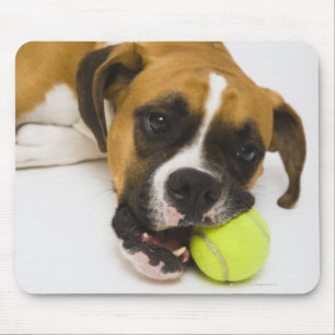 Sticka tennisboll för hund musmatta