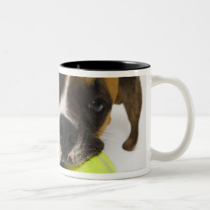 Sticka tennisboll för hund Två-Tonad mugg